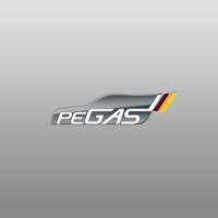 Pegas mobile und Handels GmbH