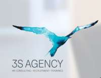 3S Agency