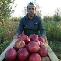 Jamoladdin Atabayev